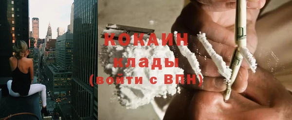 дживик Сосновка