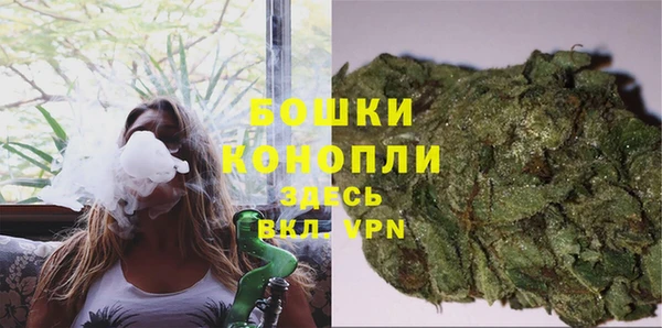 индика Заречный