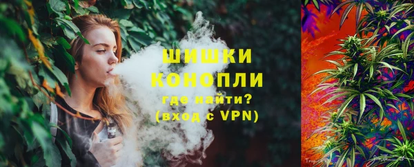 индика Заречный