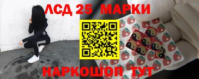 шишки Новокубанск