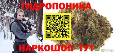 мдпв Новозыбков
