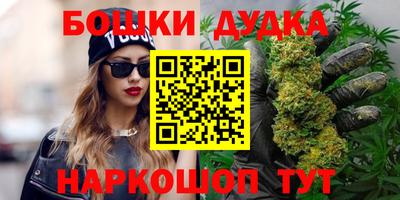 мдпв Новозыбков