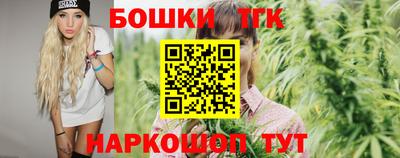 шишки Новокубанск