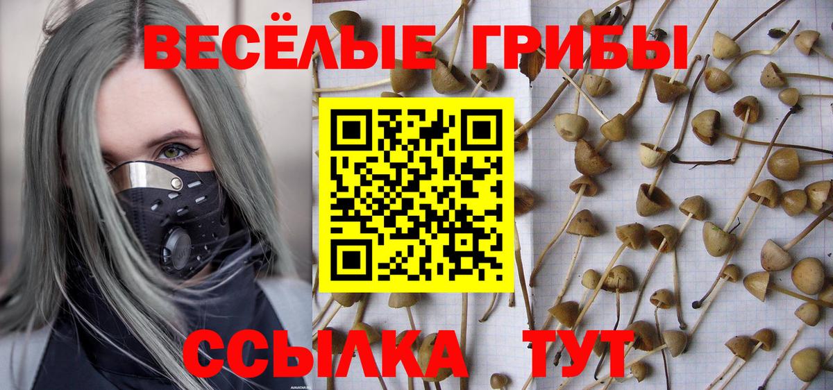 Галлюциногенные грибы мицелий Алапаевск