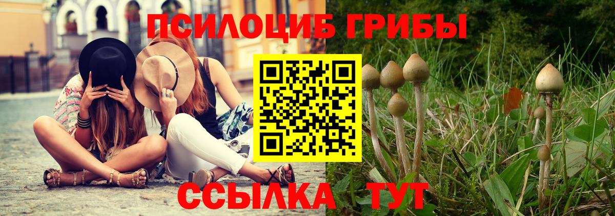 Псилоцибиновые грибы Psilocybine cubensis  Вход с VPN  Алапаевск 